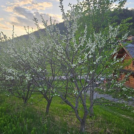 Le Repaire Viking Bed and Breakfast Sainte-Rose-du-Nord Exteriör bild
